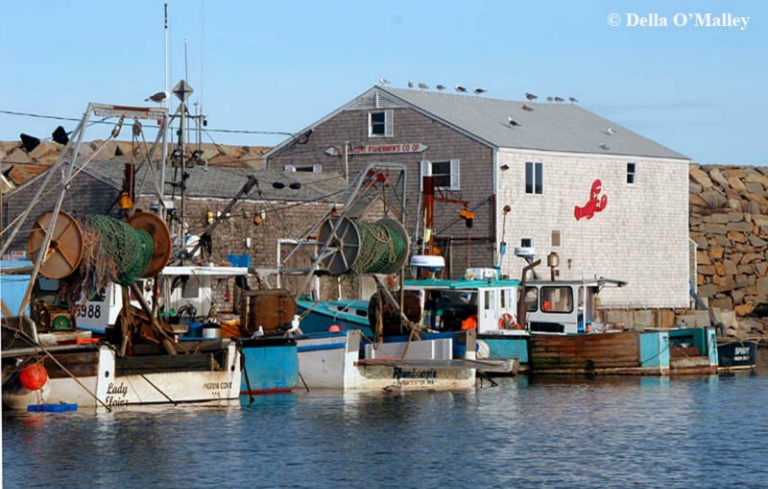 Pigeon Cove
